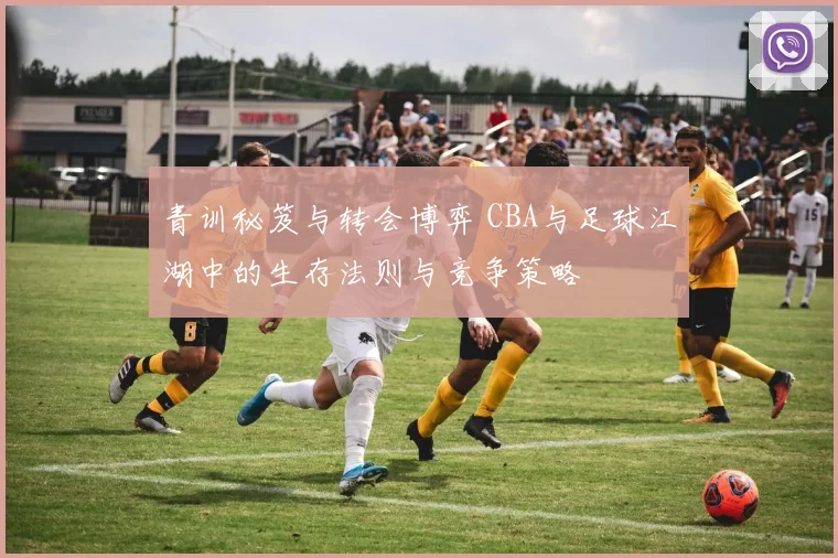 青训秘笈与转会博弈 CBA与足球江湖中的生存法则与竞争策略